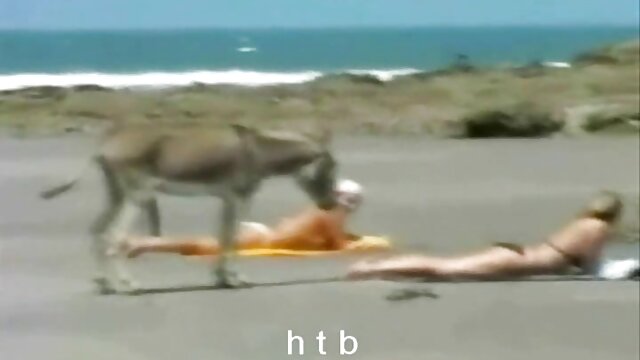 Kualitas HD : Perawat pemberani ingin bercinta dengan dokter kulit hitam bersama dengan pasien Film porno gratis