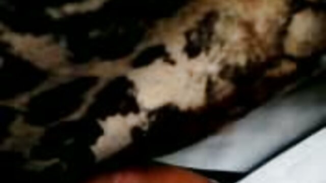 Kualitas HD : Cewek membuat saudara tiri mendorong ayam bokep tube mp4 jauh di dalam vaginanya Film porno gratis